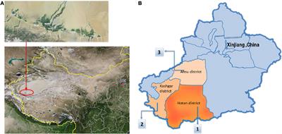 Phenotypic and genetic diversity of the Anjian chicken in China